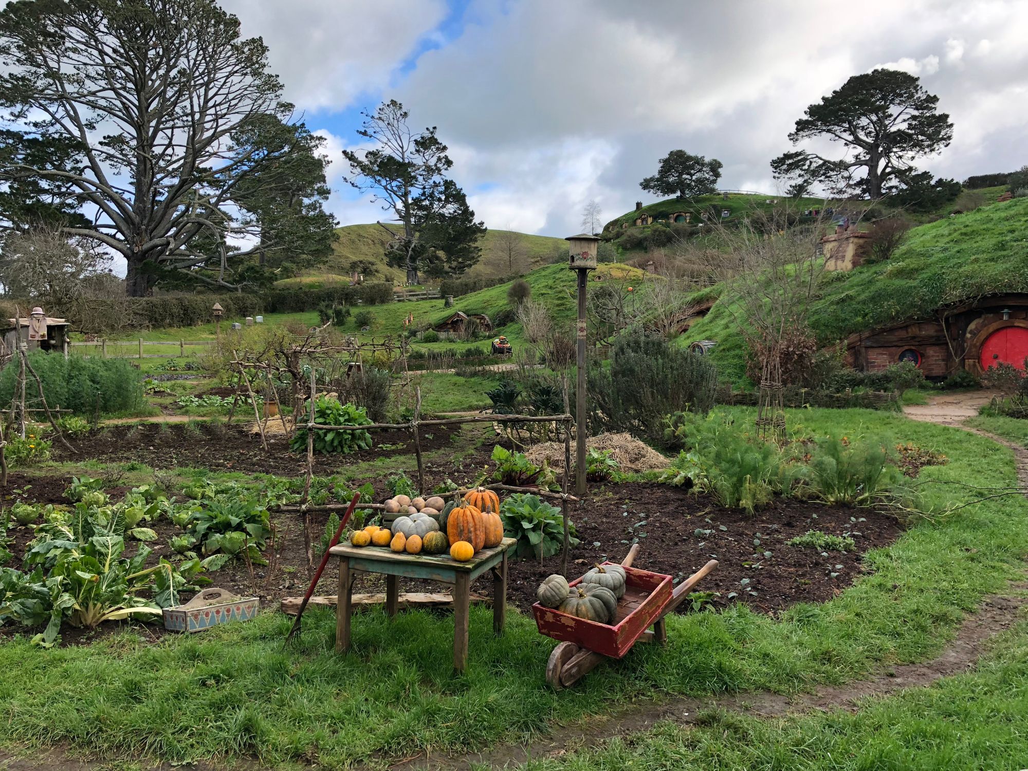 Hobbiton - A Day in the Shire