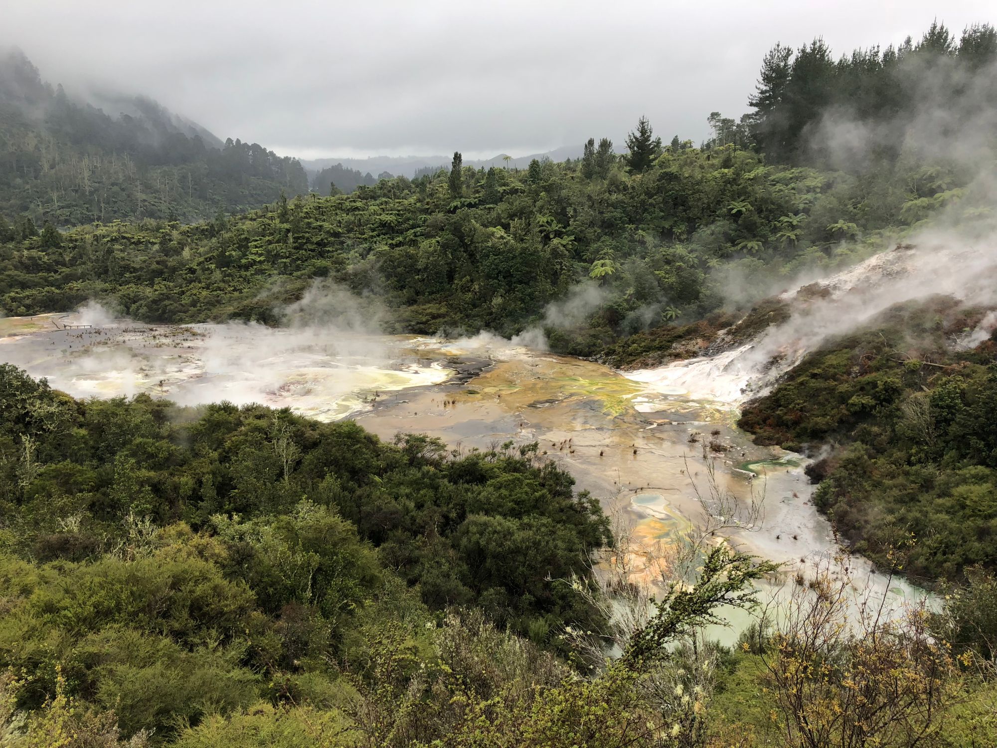 Wellington to Auckland Motorhome Road Trip